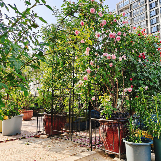 Metal Garden Arch With Gate High Climbing Plants Support Rose Arch Outdoor - Black
