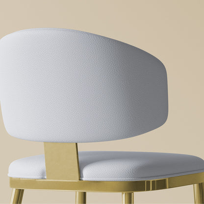 Modern Dining Chairs For Kitchen (Set of 2)
