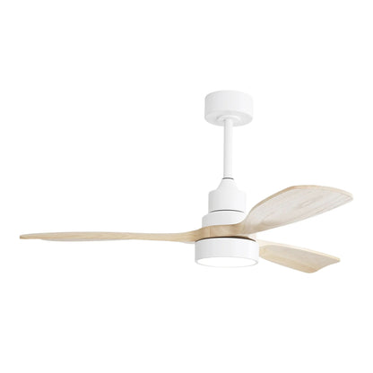 Indoor Ceiling Fan With Dimmable LED Light, 6 Speed Remote ControlLED DC Motor, Reversible Blades