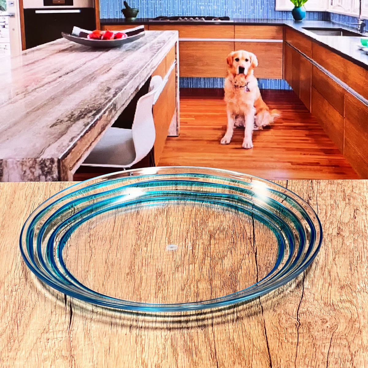 Designer Swirl Acrylic Dinner Plates (Set of 4)