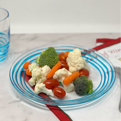 Designer Swirl Acrylic Dinner Plates (Set of 4)