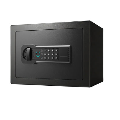 Home Safe, Fingerprint & Digital Keypad Lock, Security Cabinet