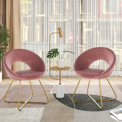 Modern Accent Chair (Set of 2)