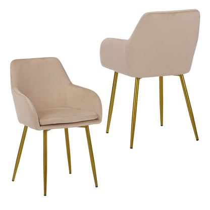 Dining Chair Set For Dining Rooms (Set of 2) - Beige