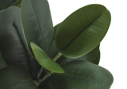 31" Tall, Artificial Plant, Garcinia Tree, Indoor, Faux, Fake, Floor, Greenery, Potted, Real Touch, Decorative - Green